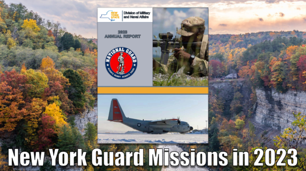 New York DMNA Annual Report 2023